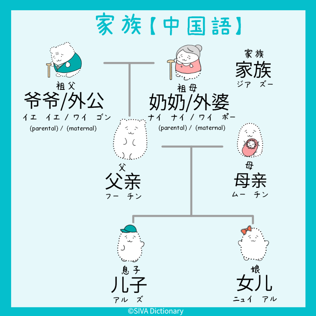家族に関する中国語のイラスト