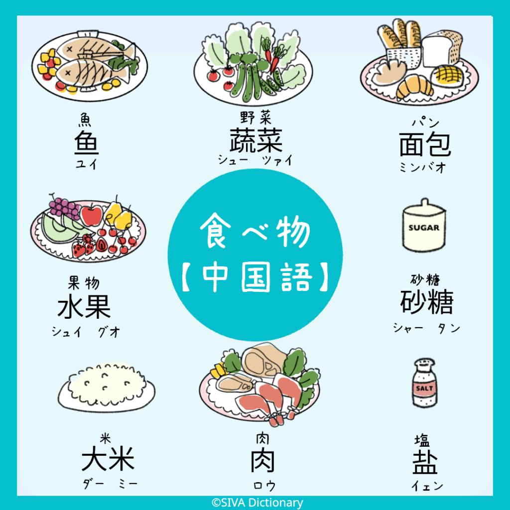 中国語の食べ物に関するイラスト
