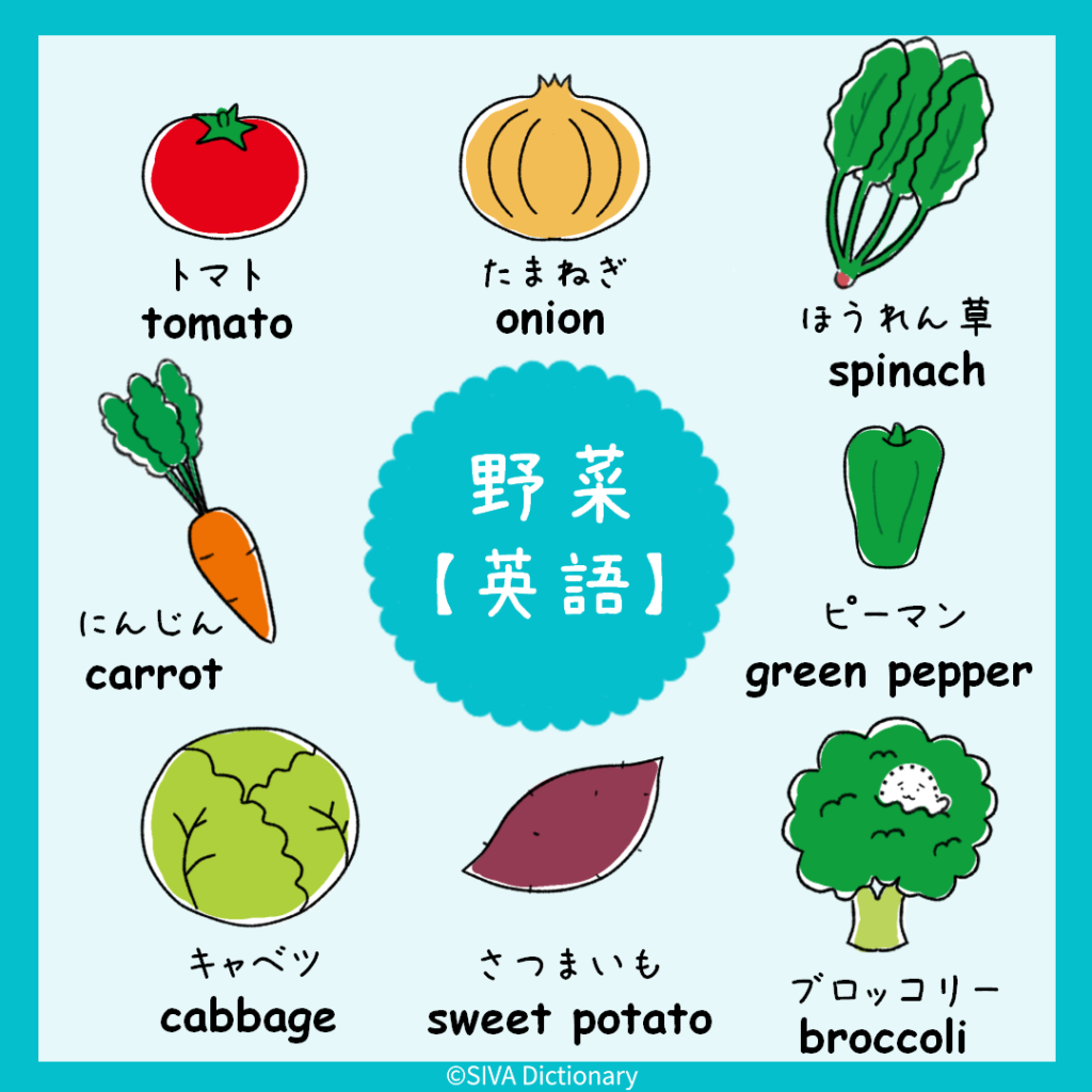 野菜に関する英語のイラスト
